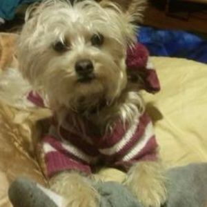 Meet your Posher, Charlie